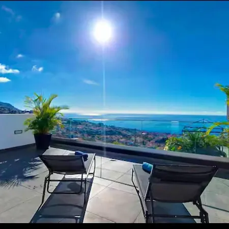 Paradise Palms